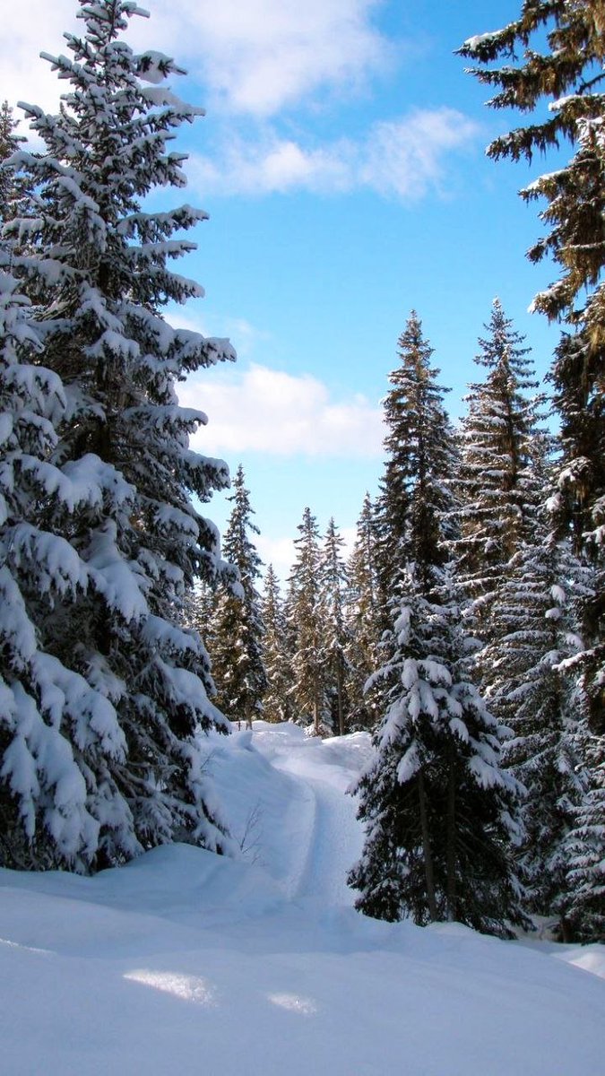 123 (@xetra_a) on Twitter photo 