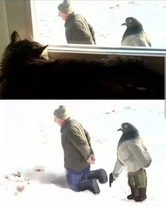 mohitkumarbhai's tweet image. hitman