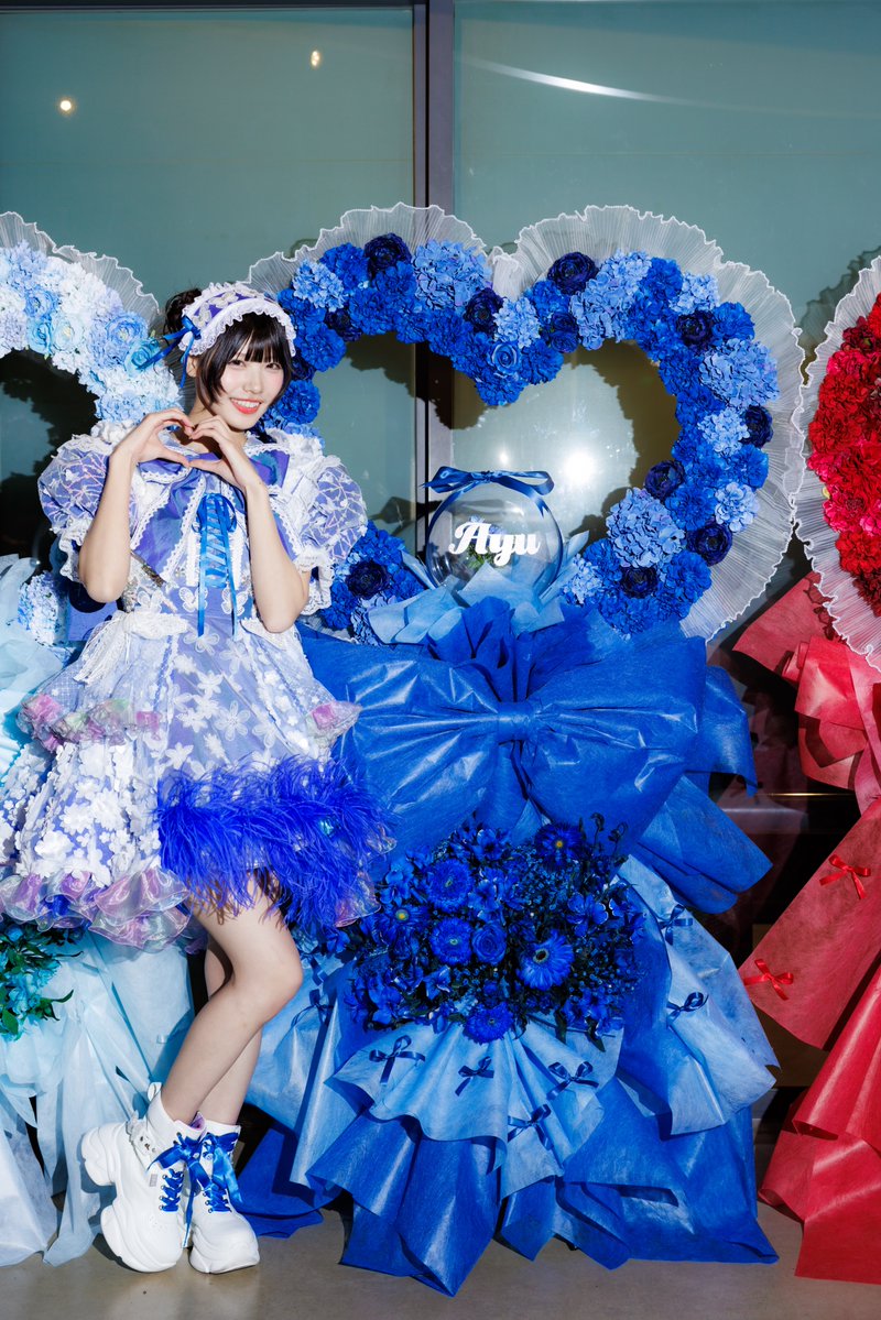 戯画　 SWEET collection 再販用 11/29(土)💙₊ ⊹ ๋࣭⭑ #SWEETSTEADY JAPAN TOUR 2025 -AUTUMN