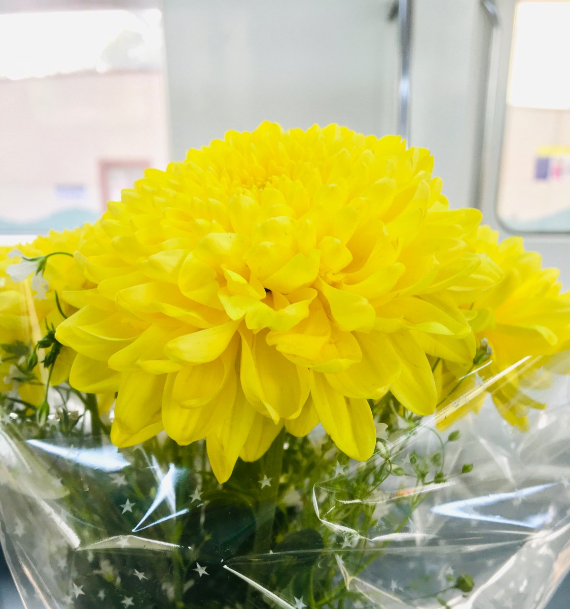 A for Aruna tweet media