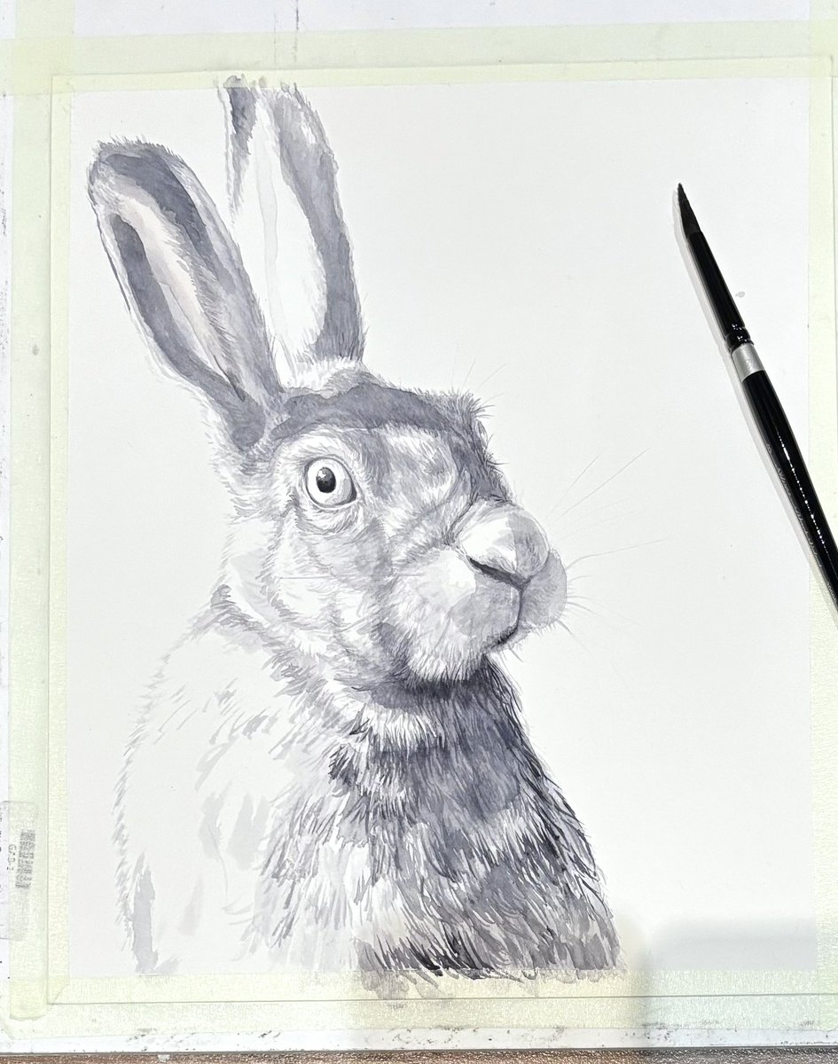 JessEvans915's tweet image. More contrast. I’ll start adding color next. #watercolor