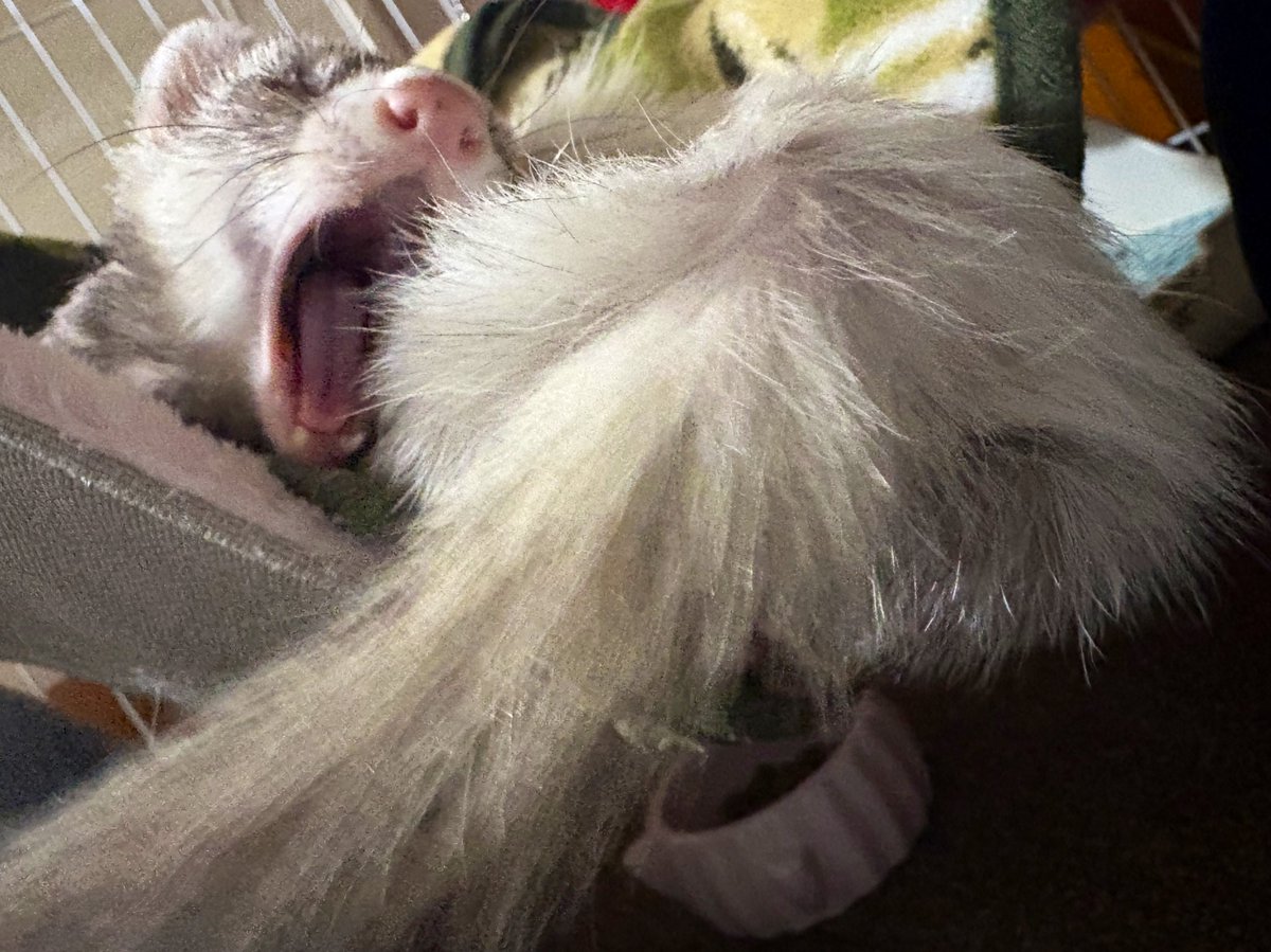 ナフ@12/10〜トレーナー販売 (@41728) / Posts / X