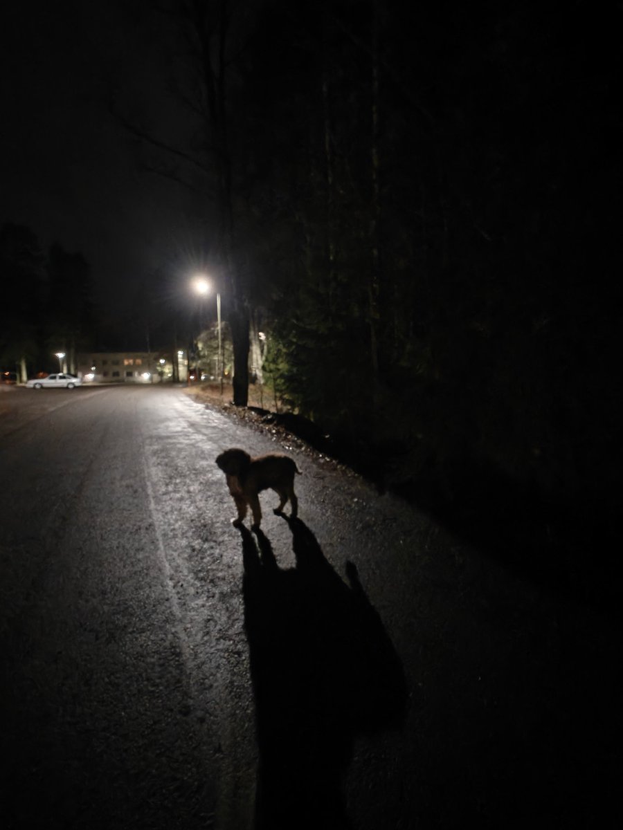 Nää aamulenkit on aika hämärähommia 😊🤷🏻‍♀️