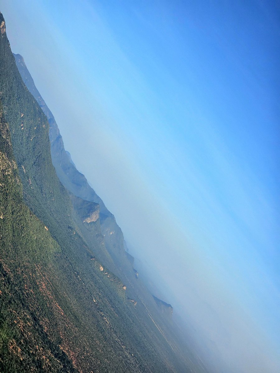 96Lost_'s tweet image. Goodmorning from the outside.
📍Mukogodo Forest.