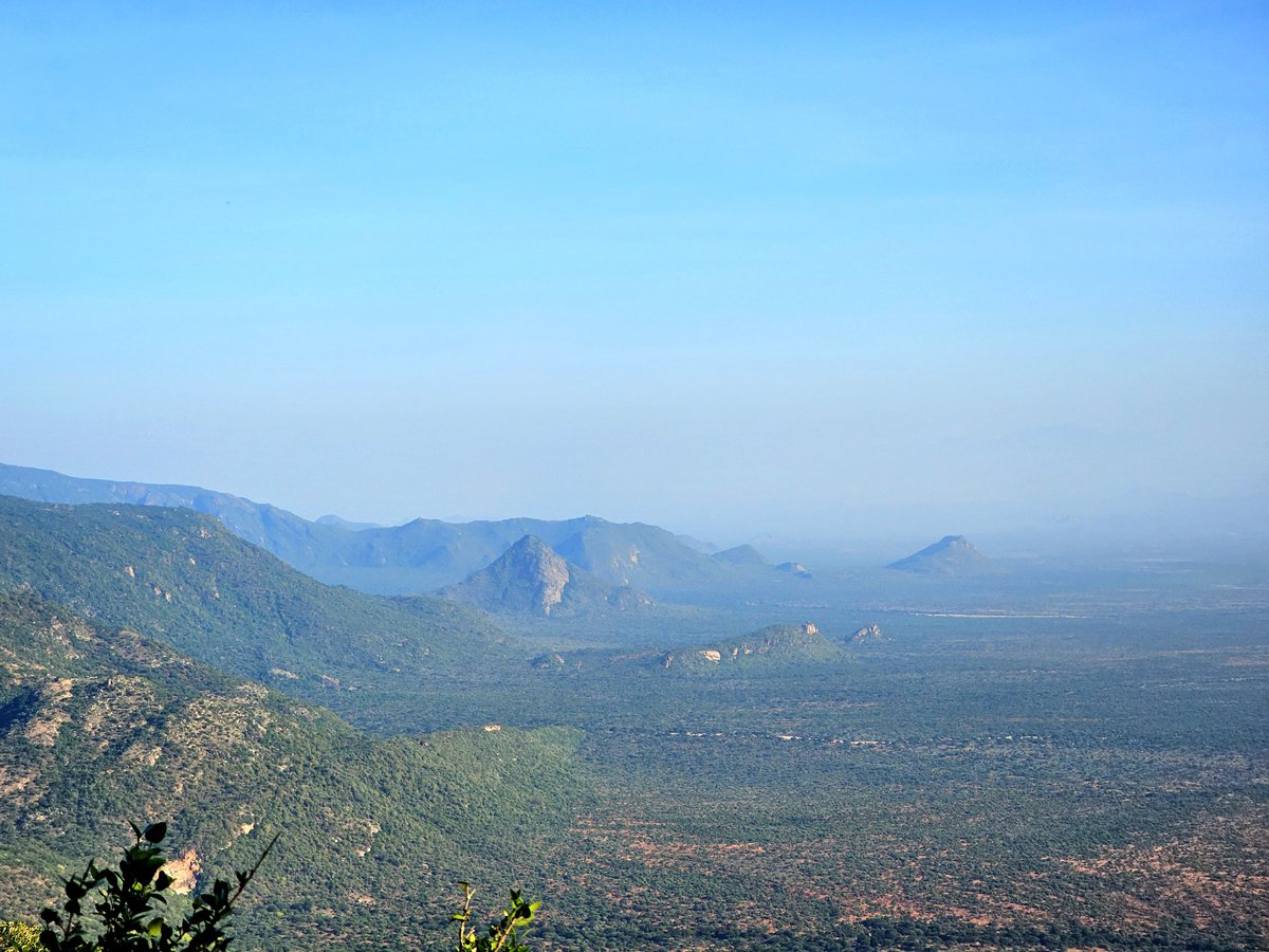 96Lost_'s tweet image. Goodmorning from the outside.
📍Mukogodo Forest.