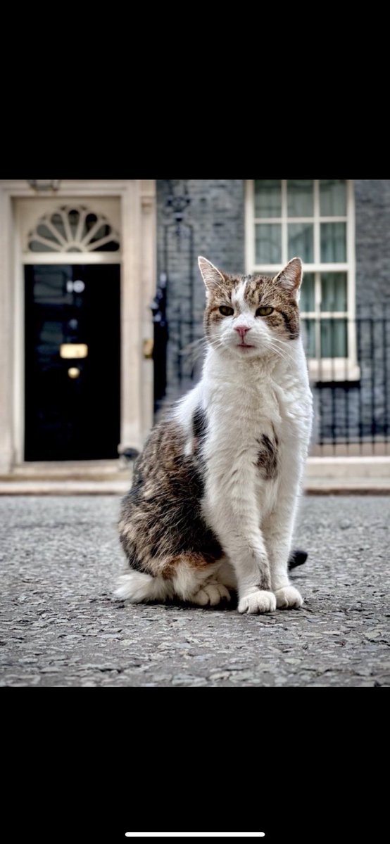 HarryBu20084568's tweet image. The only occupant of No10 that the current Head Girl of the Tories has not demanded their resignation!