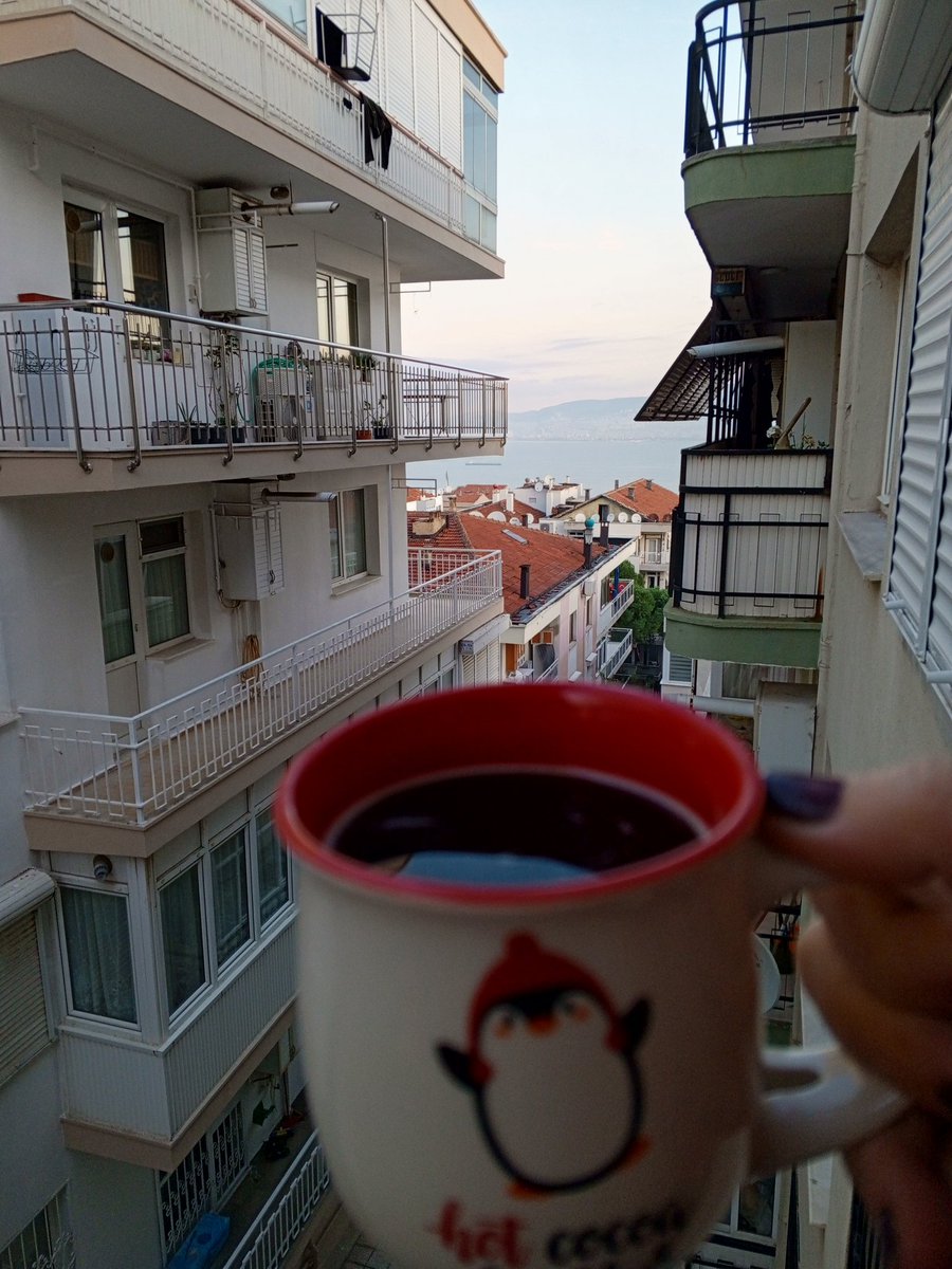 🐼 Günaydın ☕🎈
#salı