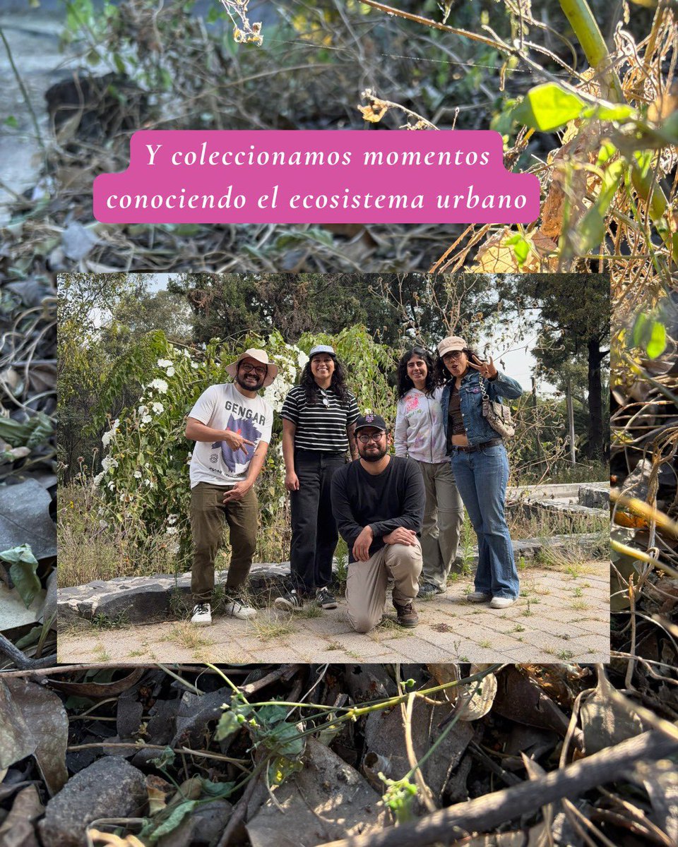 Recorrimos la ciudad buscando plantas nativas en una zona boscosa 🌿