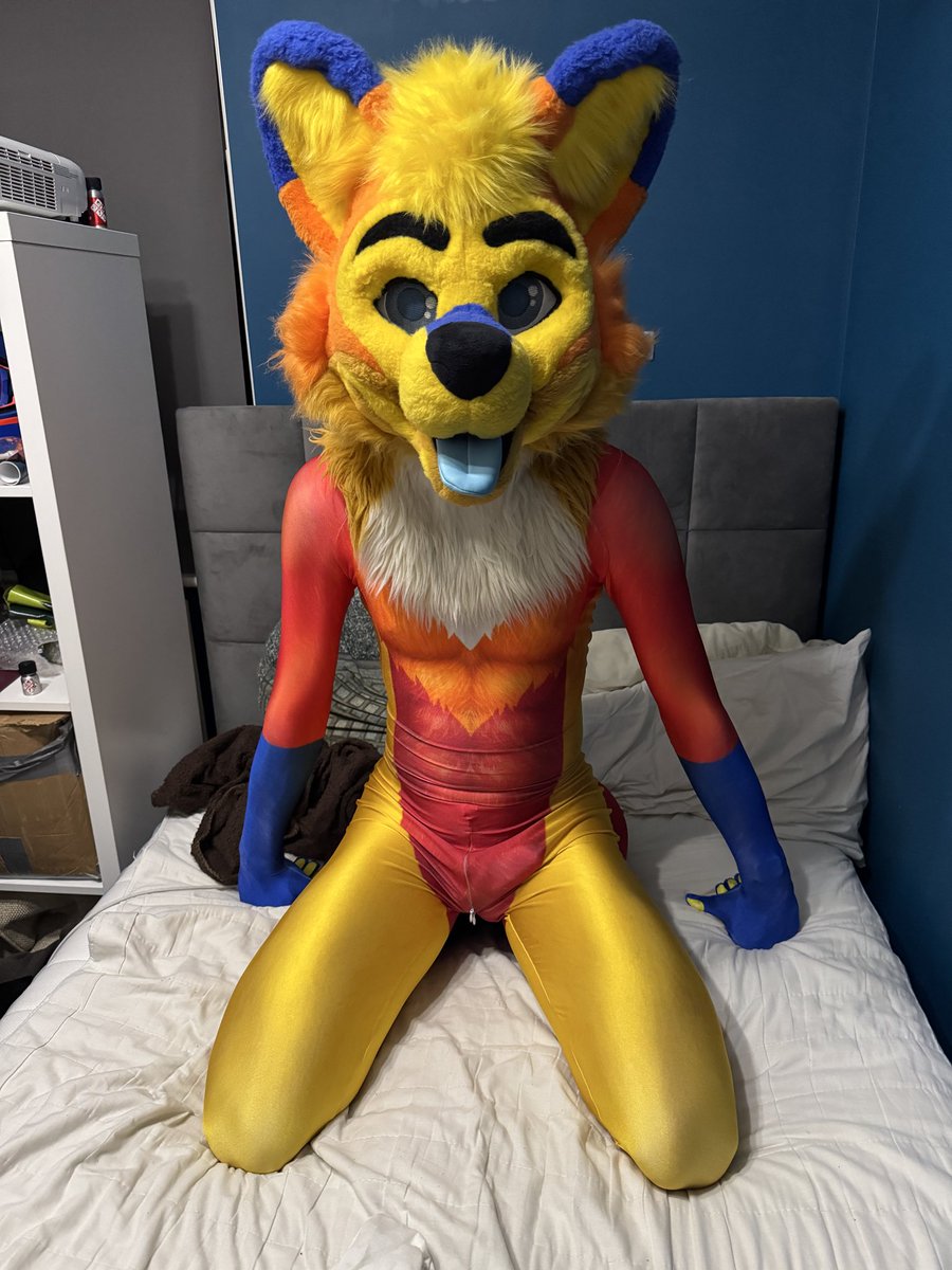 Got a petsuit today 👀👀