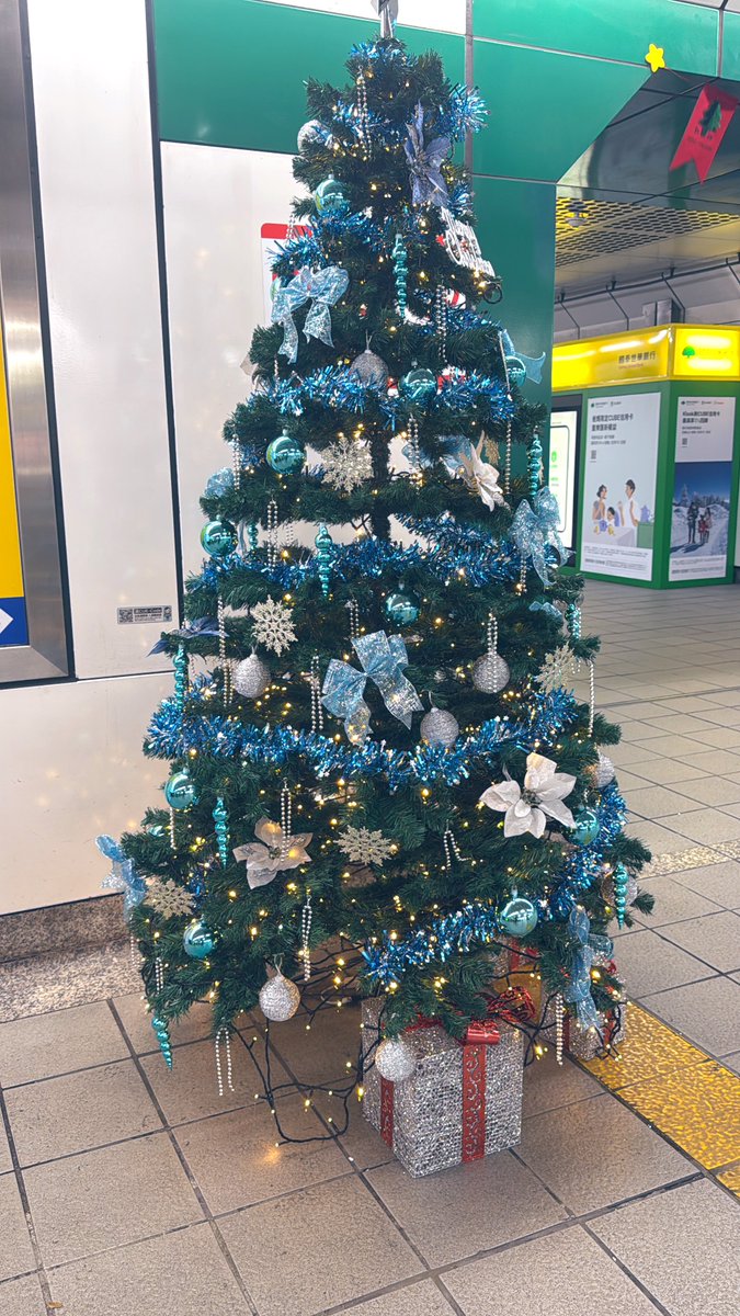 めぐぅが.....クリスマスツリーになった？