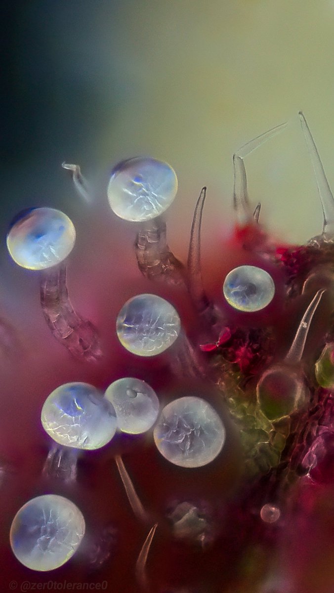 Step into the light 💨💨💨