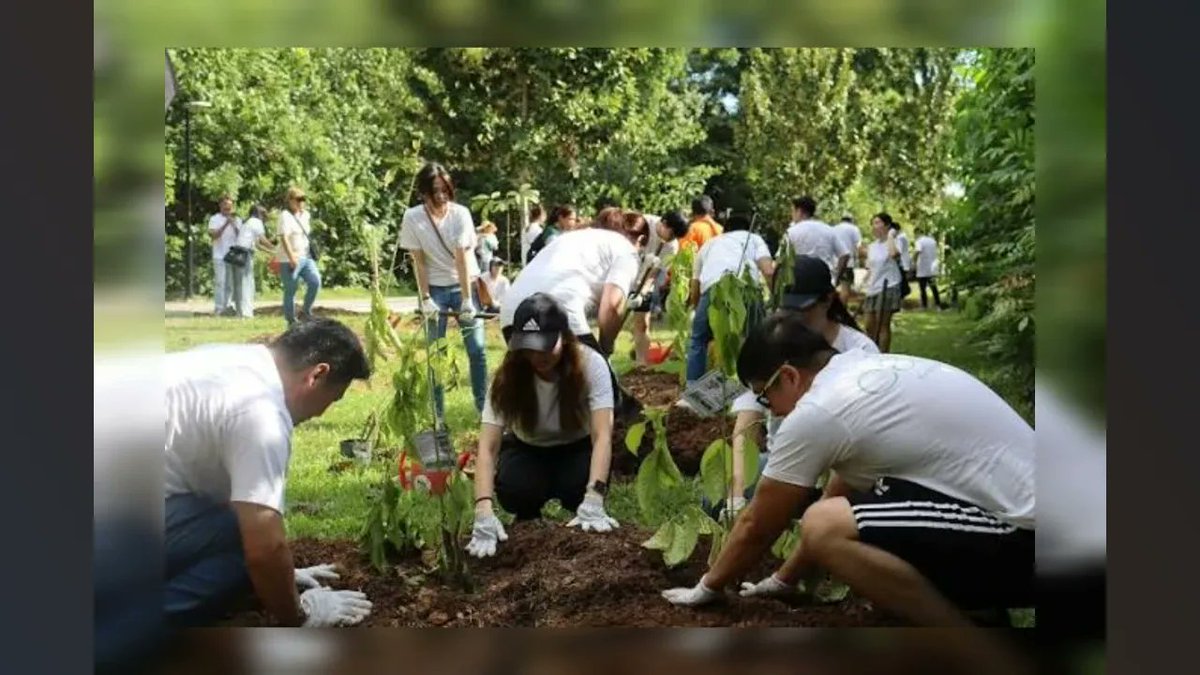 This image says it all 🌿
It starts with you. Make a difference.

View the post 👉 app.ecox.network/community/post…
Earn GREEN on ECOX Network while you act:
app.ecox.network/register?refCo…

#ECOX #GREEN #ECO_TO_EARN