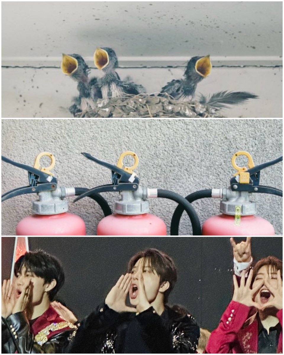 さとこ (@satton1206) on Twitter photo 