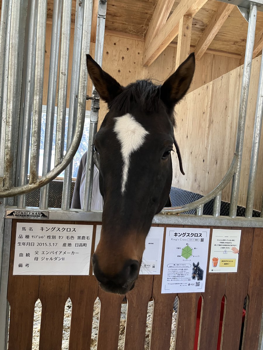 🍃𝔾.𝕋. 𝕄𝕦-𝕄𝕦٩(ᐢ⓿ᴥ⓿ᐢ)۶🍂 (@mumu_chan_xxxx) / Posts / X