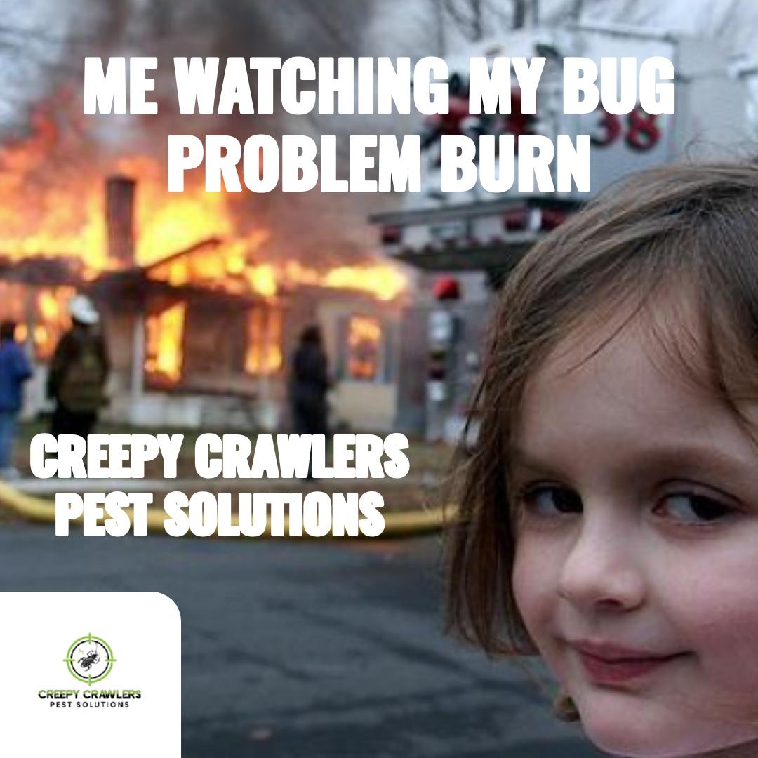 CrawlersPest's tweet image. Need a sidekick? Local, fast, 20+ yrs battling Mississippi pests. Call Me: +16628209319 — what&apos;s bugging you?

#LocalExperts #PestControl #CreepyCrawlers

#Homeowners #MississippiResidents #PestControlMississippi #LocalandFamilyOwned