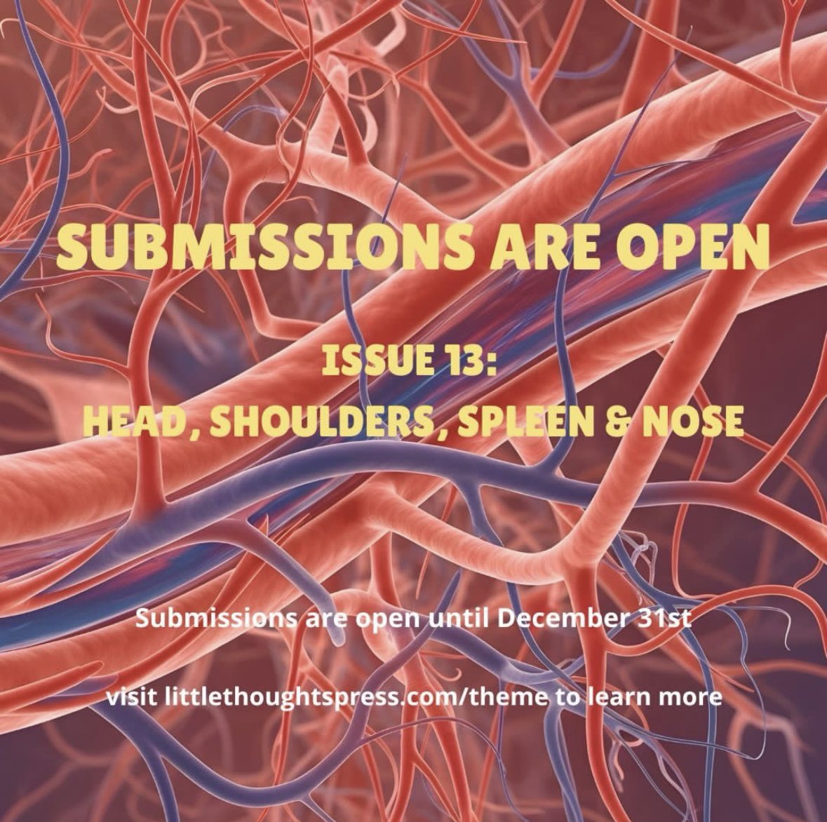 Brandy Bellittera is in her AUTHOR ERA! 🤟🏼✨🦥 tweet media