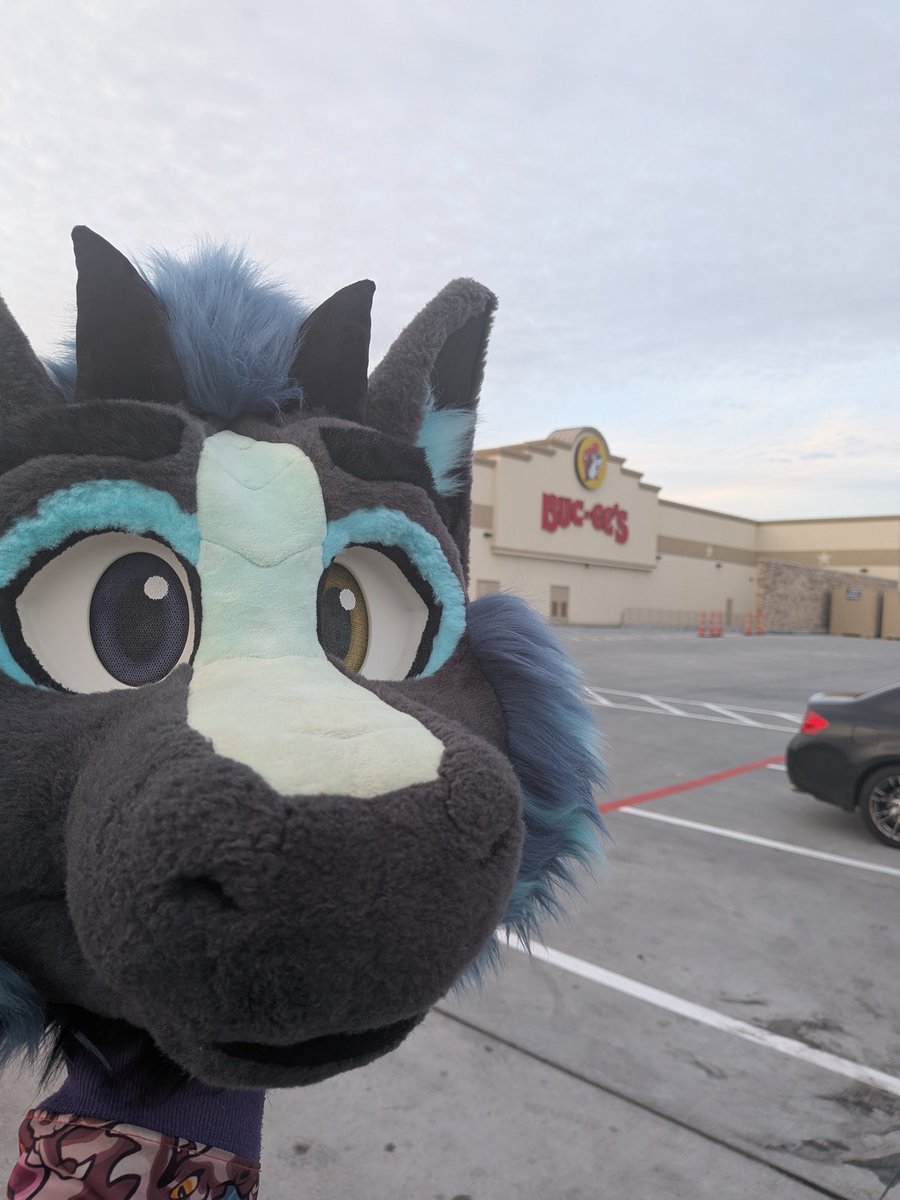 Had to make a stop on my way to #MFF