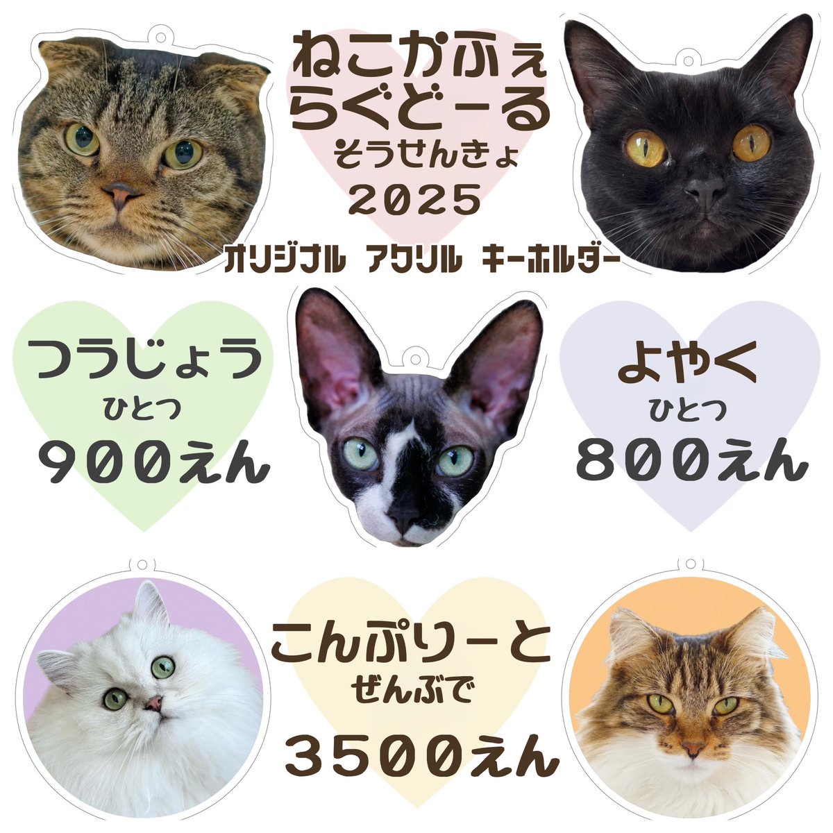 ✨本日予約開始✨ 上位5匹がアクキーになって登場😺 ⚠️数量限定