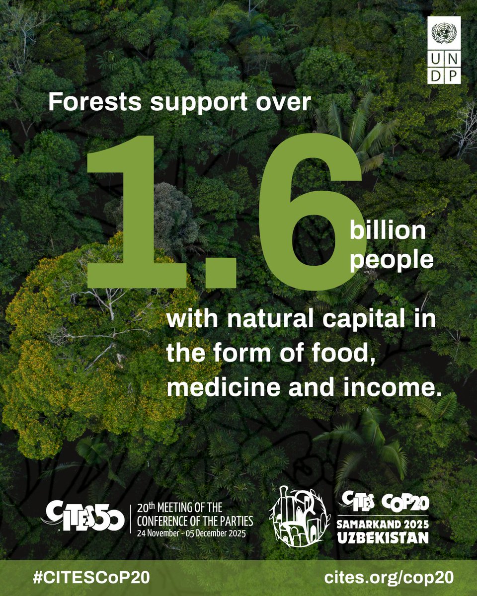 UNDP Planet tweet media