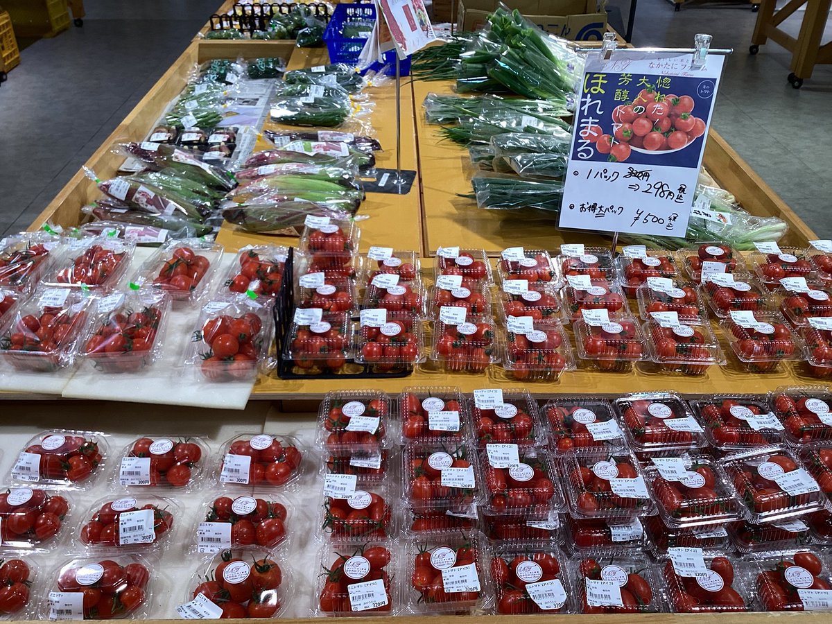 12/2（火） 本日の底引き網漁はお休みです。 朝のショーケースの様子