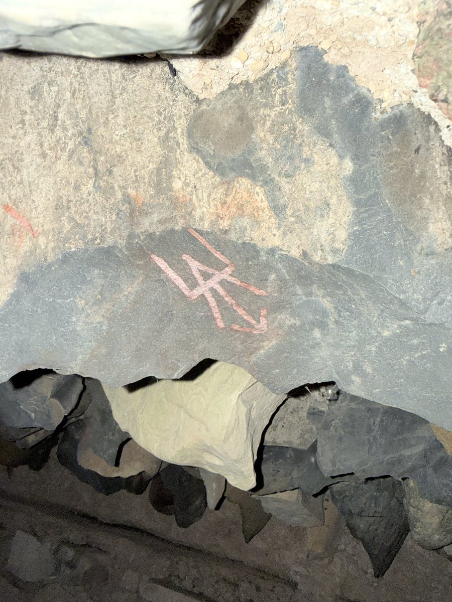 Just used apps that claim to find scary places… let’s just say they worked😭👀

New video this Sunday 12/7 at 3pm EST🔥