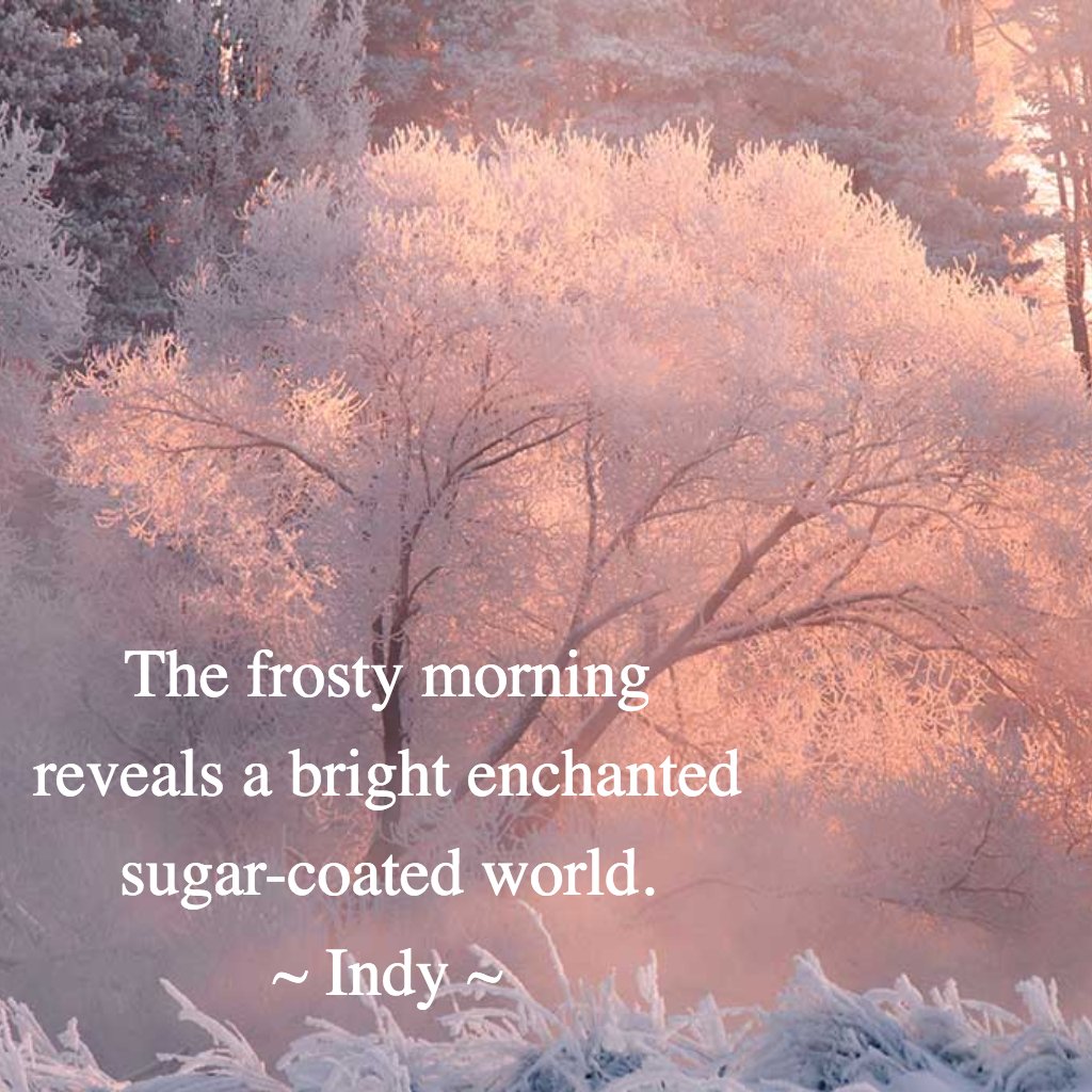 Happy Haiku Monday! We received our first frost for the Fall here in our neck of the woods.
It wasn't near as breathtaking as the photo below but it was a pretty scene for quite a few hours.
The photo below came from a backpacking trip we did in Yosemite many years ago. Our last