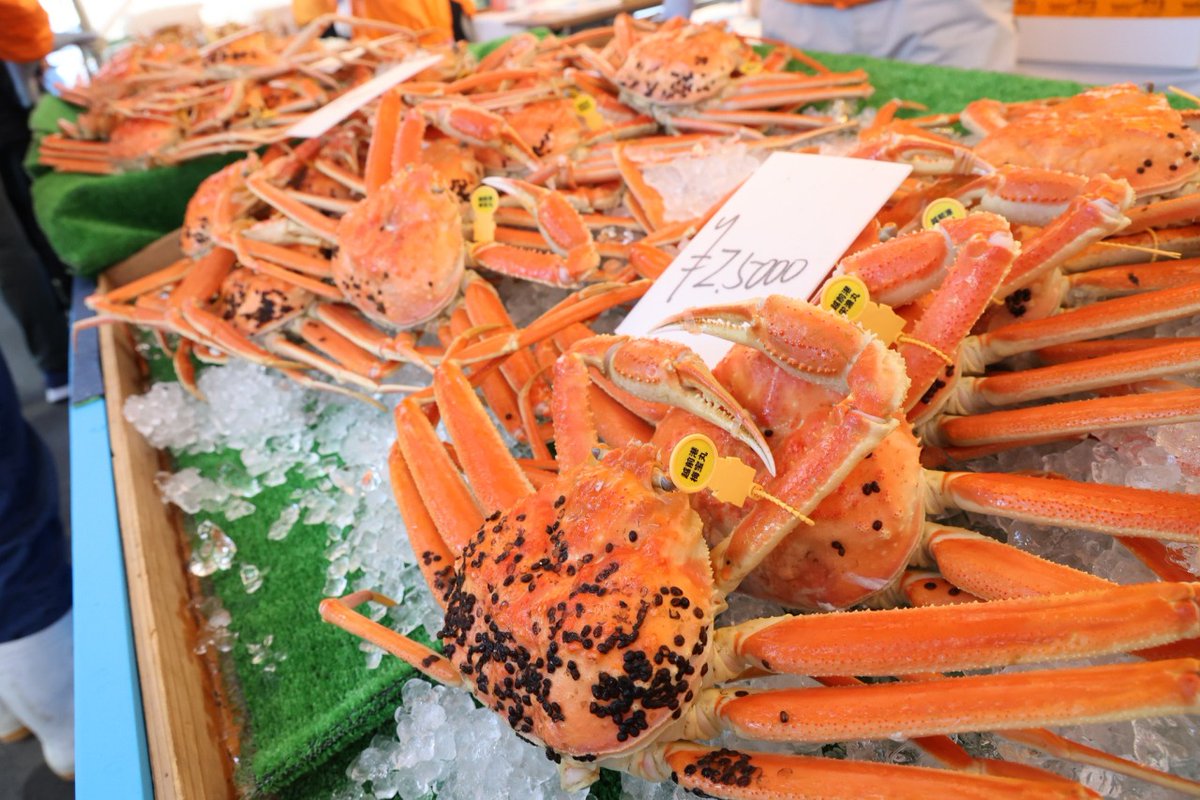 □越前海月□ 閉店】海月 （かいげつ） - 越前町その他/料理旅館