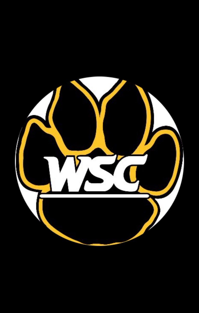 Liam McMillan tweet media