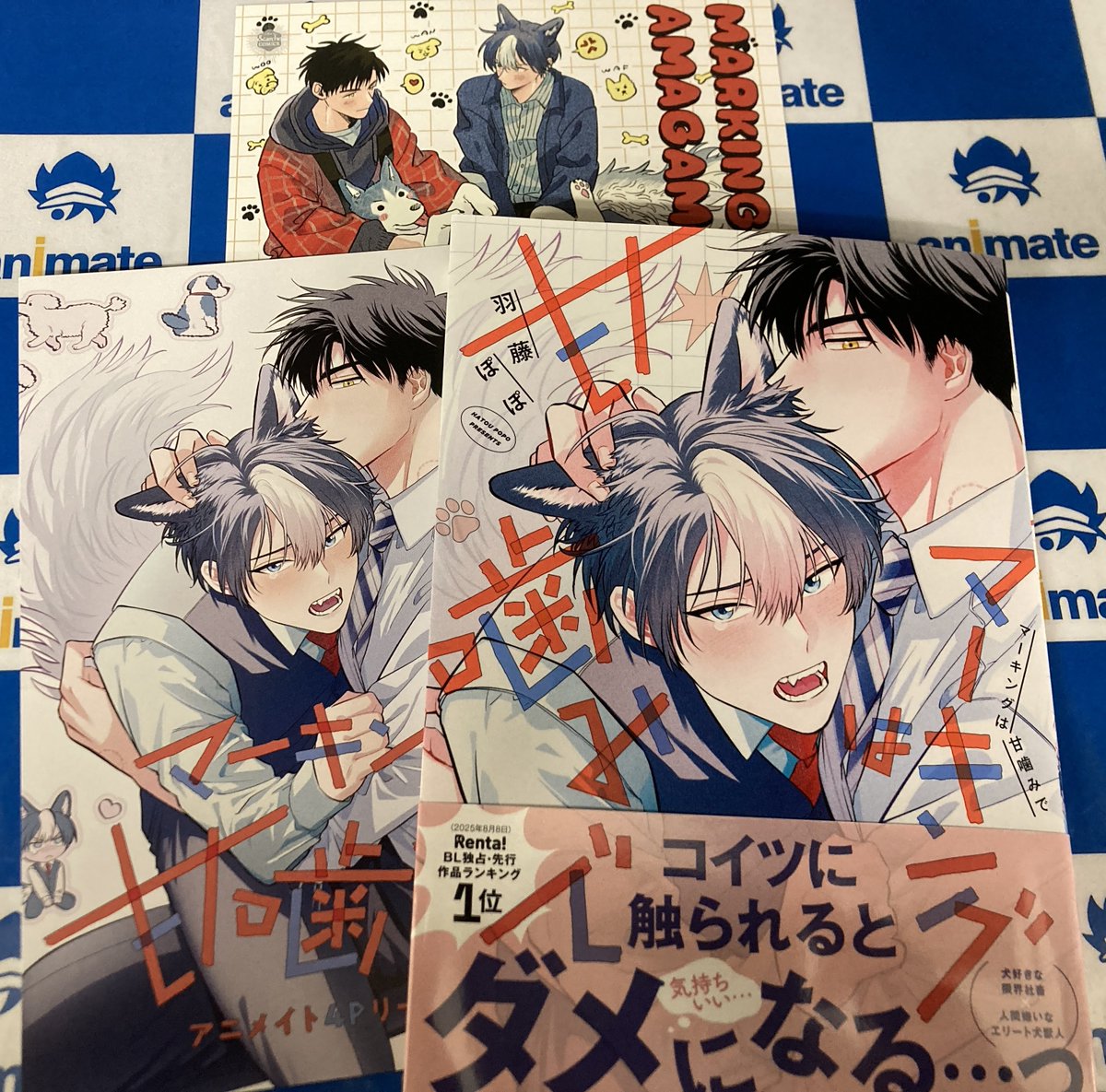 パンプキンナイト 1 特典　ペーパー付き 📚書籍新刊情報📚】 #羽藤ぽぽ(@Ponponhatopon)先生 『#マーキングは甘