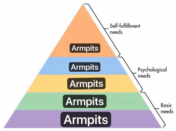 We all have needs....