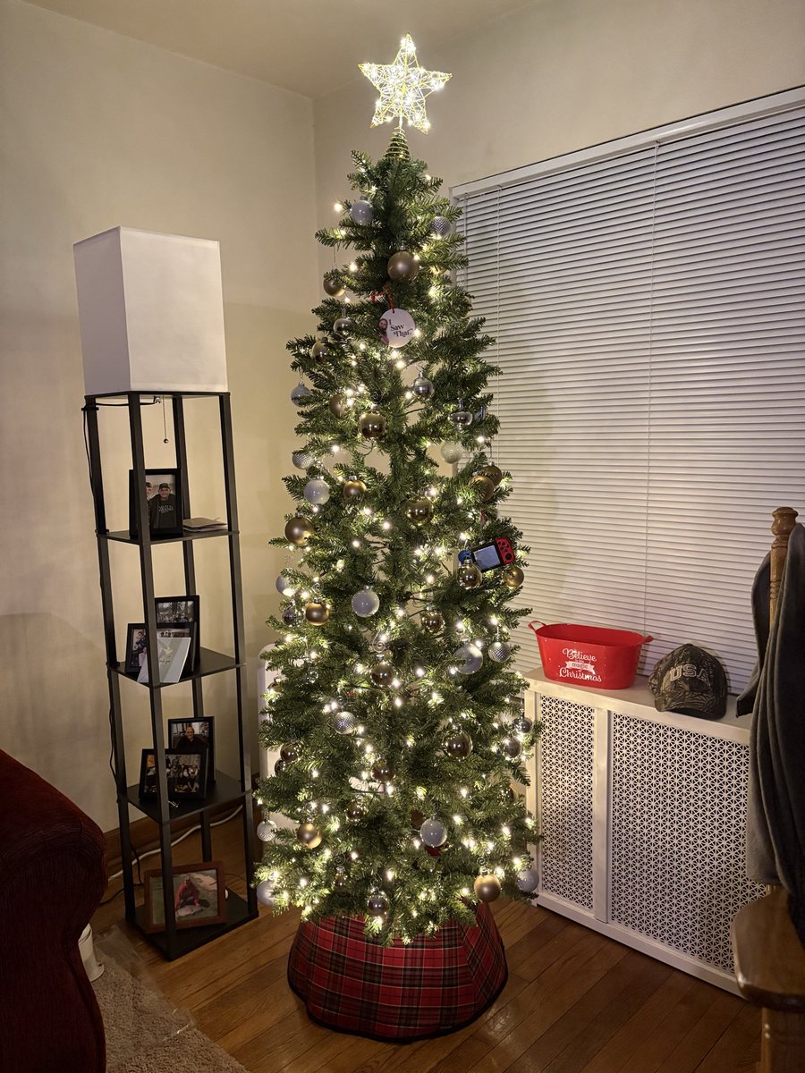 Rate my Christmas tree