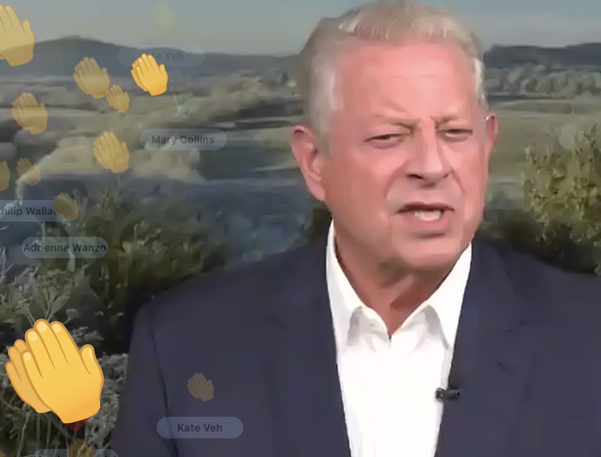 Bencjacobs's tweet image. In the Zoom chat of the closing rally for Aftyn Behn, there are a lot of commenters who want Al Gore to run for President in 2028 as he speaks