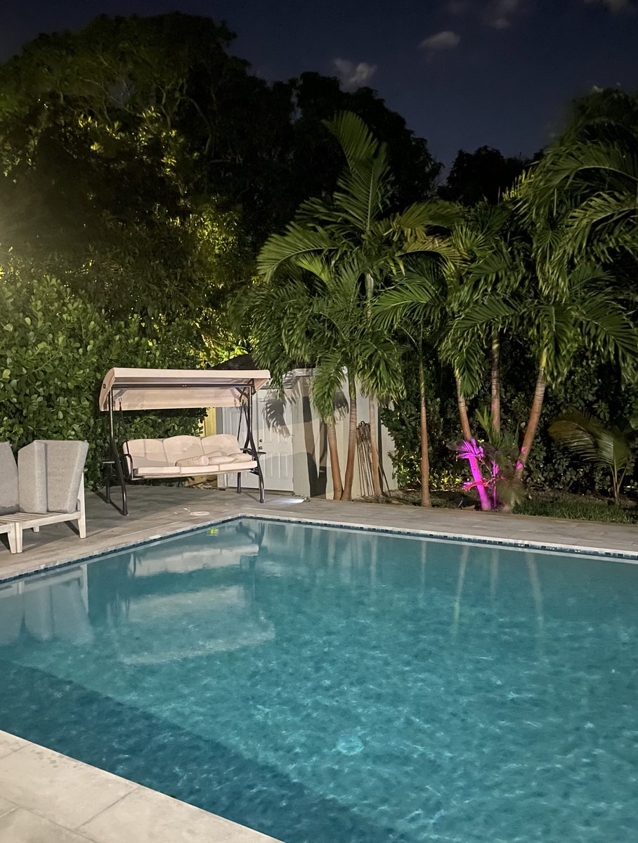 teflonbtc's tweet image. Miami i am inside of you