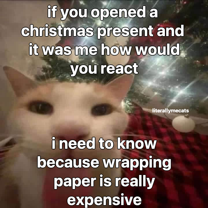 LiterallyMeCats (@literallymecats) on Twitter photo 