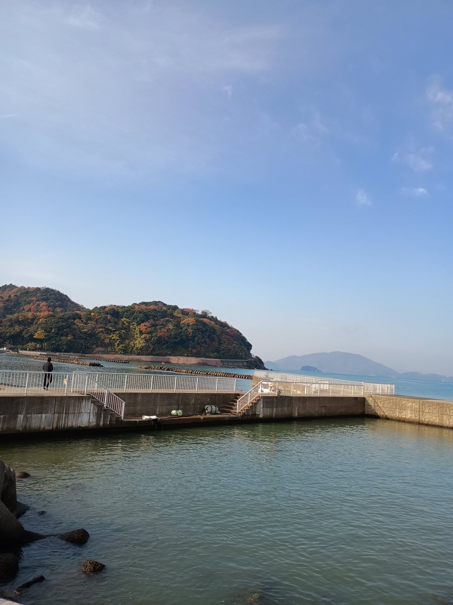 #嶺南ミカミちゃん
 #小浜市
 #イマソラ

おはようございます☀

12･2 現在の小浜市の海と空です🌊☁
本日も晴れて穏やかです✨
今日は朝からミカミちゃん連れて海さんぽ、
午後は紅葉🍁を撮影してきますฅ•ﻌ•´🐟