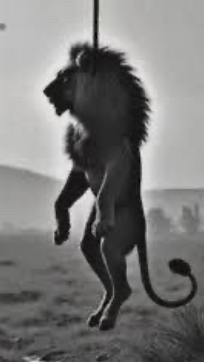 kornman_co's tweet image. #WhyMe