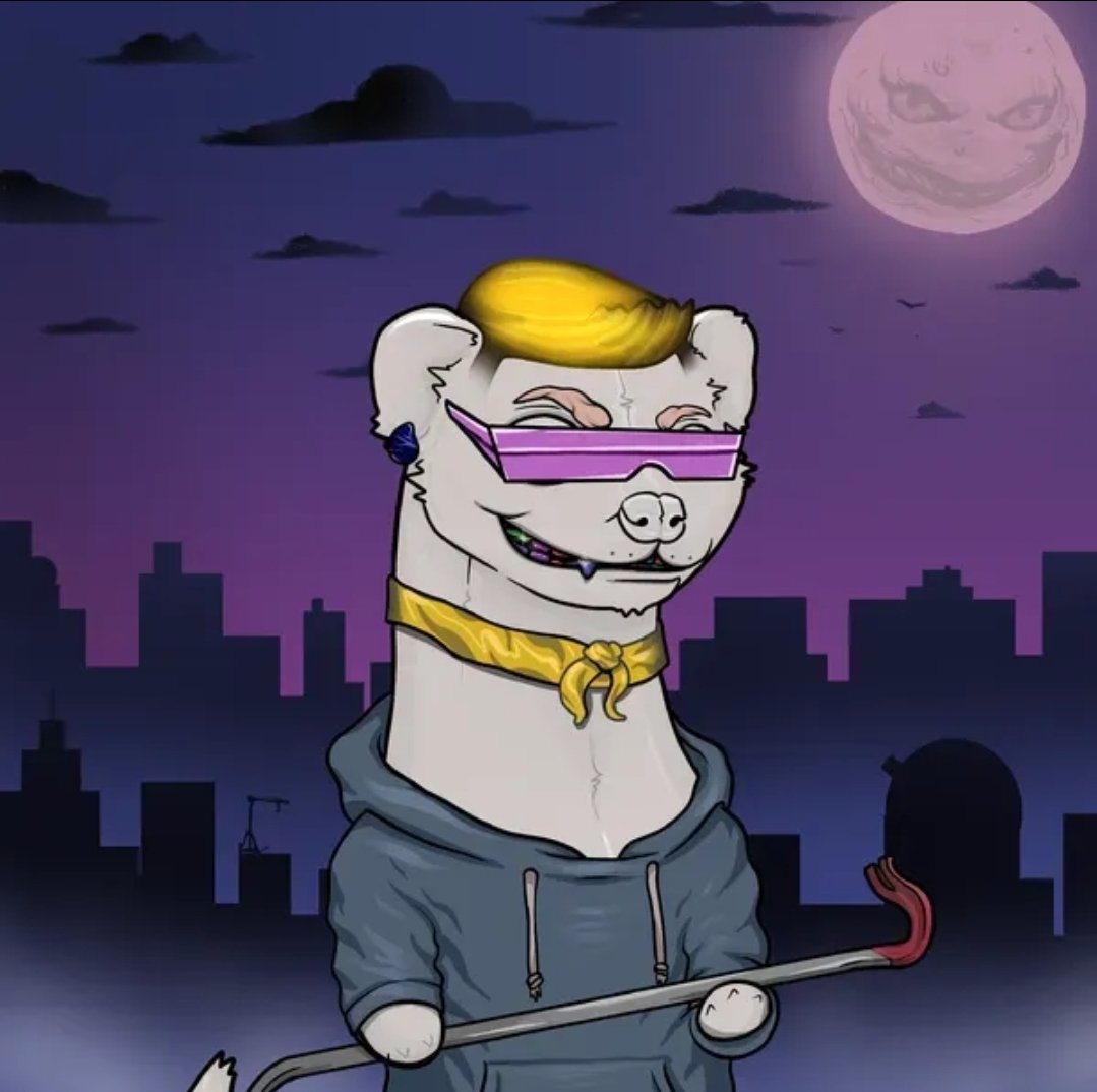 Phat Taco tweet media