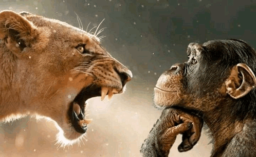 🇺🇸✍️  INSOLITE | L’expression "Rage Bait" a été nommée Mot de l’année 2025 par le dictionnaire d’Oxford. Elle devance "aura farming".