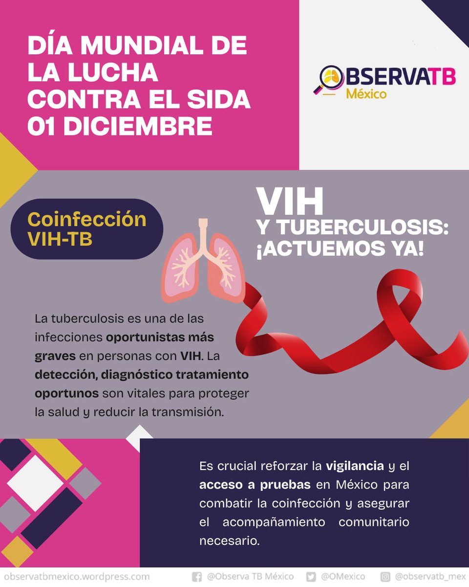 OMexico's tweet photo. ¿VIH y Tuberculosis?

La TB es una de las infecciones oportunistas más frecuentes y graves en personas que viven con VIH. 

La detección oportuna, el diagnóstico preciso y el tratamiento adecuado son fundamentales.

#VIHyTB #DíaMundialDelSida #VIH  #ObservaTBMexico #OSTBMX https://t.co/LJK3MZBlNh