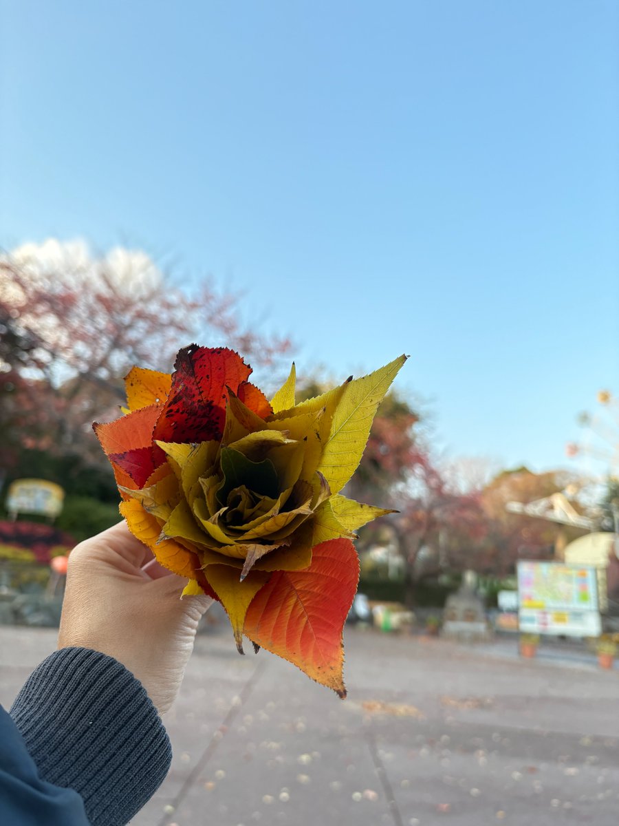 木々が少しずつ色づき、動物園の中もすっかり秋の風景に。葉っぱ1枚1枚がとっても美しかったので、
“落ち葉の花束”をつくってみました🍁

動物たちを見るのも楽しいのですが、季節の移り変わりを感じながら、のんびり園内をお散歩するのもおすすめです。

#ちいさな秋みつけた