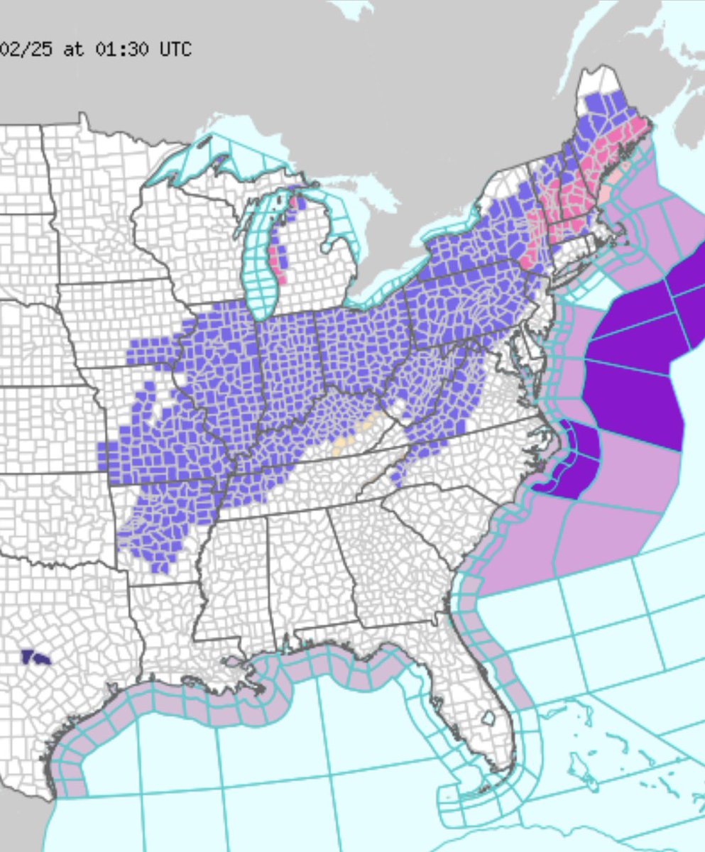 desolangels's tweet image. Oh yeah