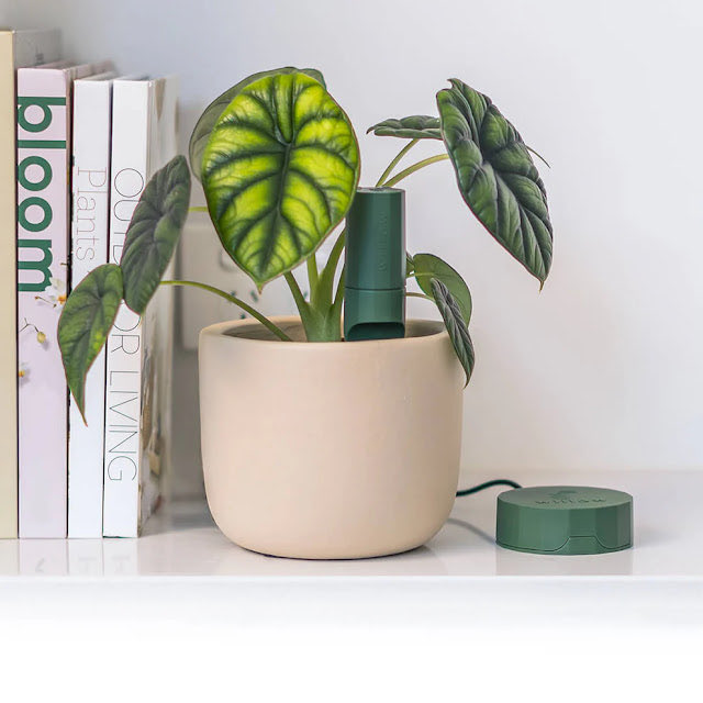 WIN a Plant With Willow Starter Pack for day 2 of my Christmas Gift Giveaway theminimesandme.com/p/win.html