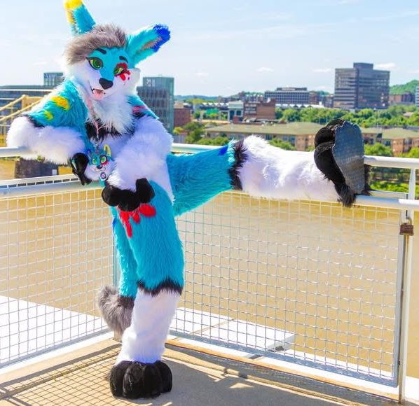 SplatFennec's tweet image. I’ll have my old lady with me
💚 say hi
💚 ask me to things
🚫hugs (please ask before touching at all, I’m very fragile)
Be aware that my vision, hearing and energy are damaged and I am having brain issues too, please be gentle if I can’t remember you