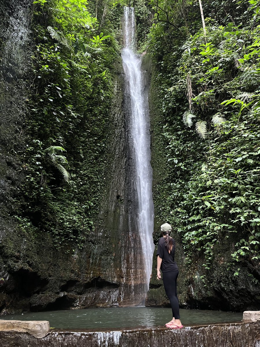 🫧🎀🔪 tweet media