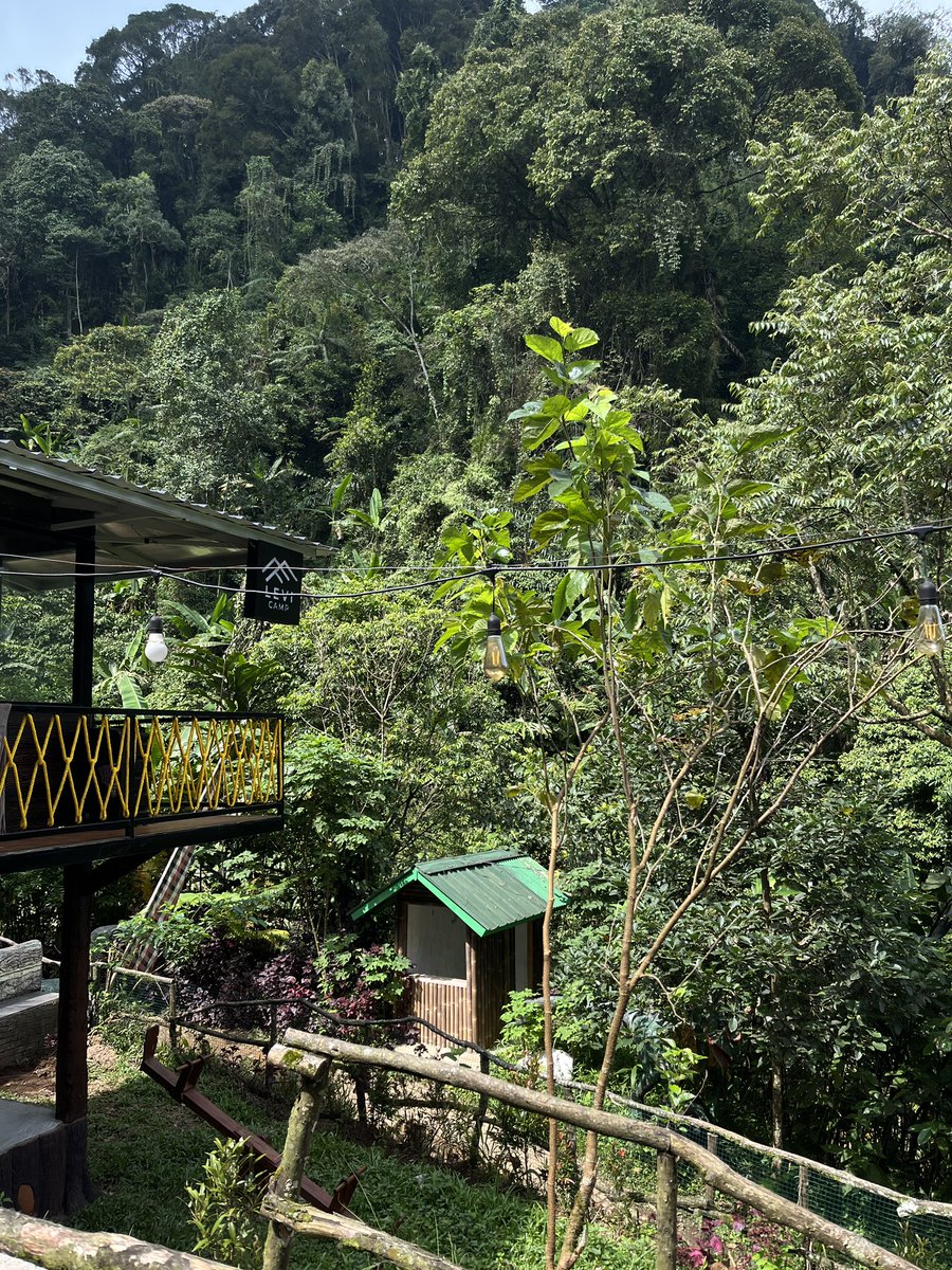 🫧🎀🔪 tweet media