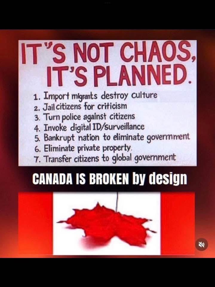 Sassygal1971's tweet image. 