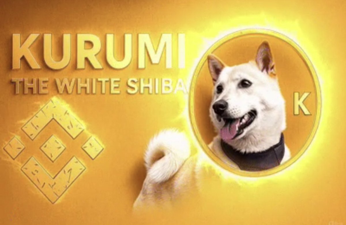 Kuromi or 6sfZTXEf8vDbhZbhfqrqKEWSjpX7dNWv6LzHDCUCbonk)