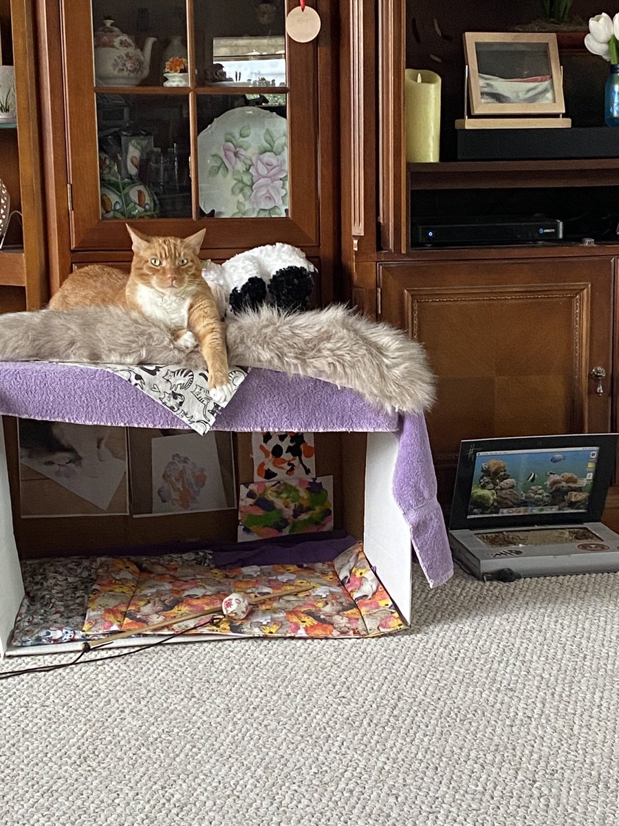 <a href="/TasteyCat/">Linx💫🌈</a> Ise still lubbing youse and missing youse, Linxie!! Tell youse mom dat weez  miss herz, too! Ise still brag on mine pics dat youse did!!  ❤️❤️❤️🎄🎄🎄