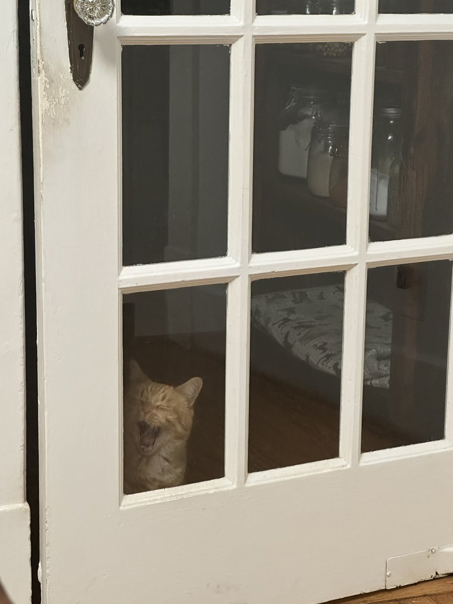 Patrick Skinner tweet media