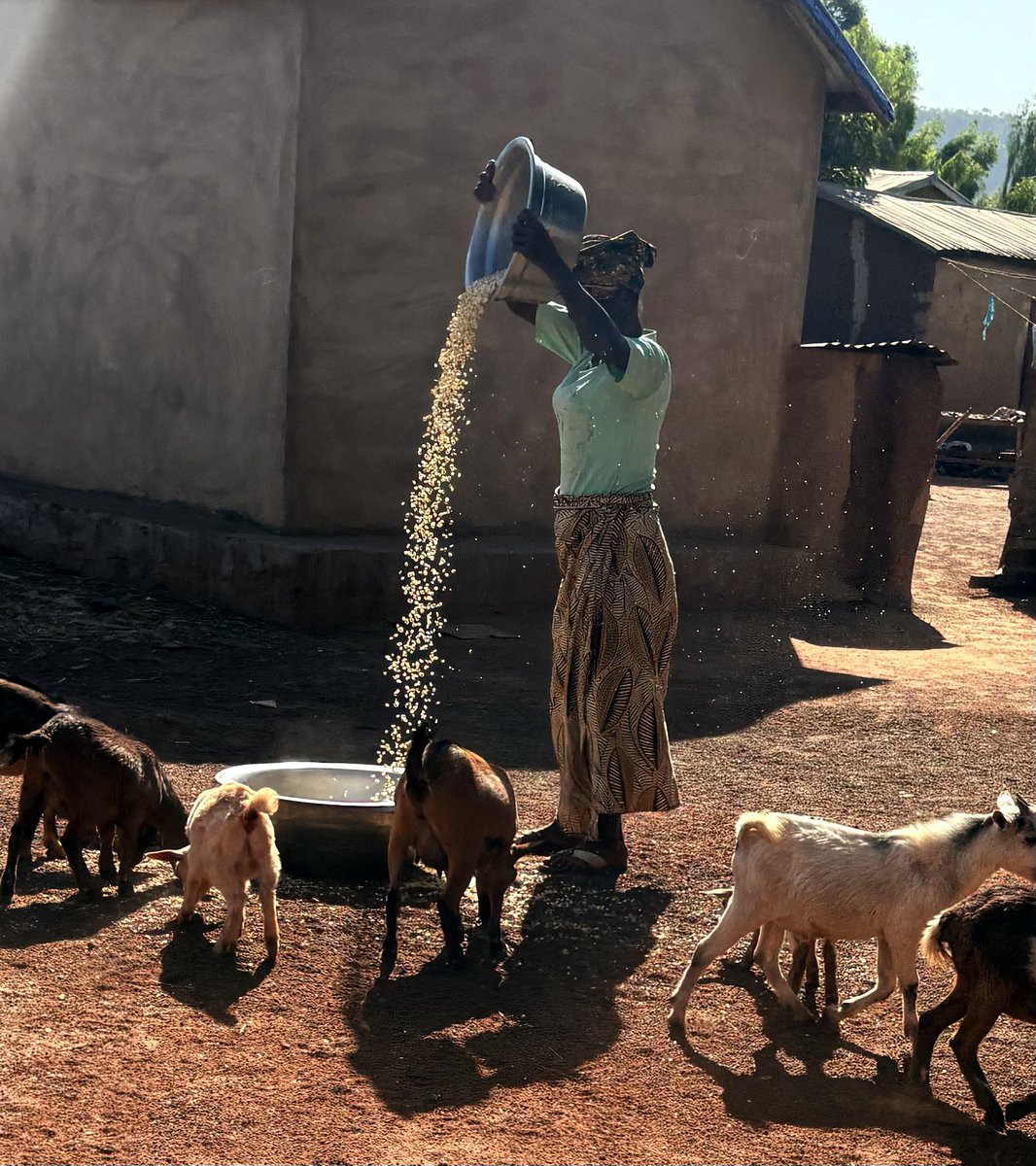 GuendehouLin's tweet image. 私の家です。